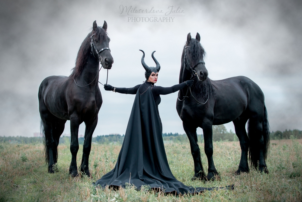 Фотосессии с лошадьми